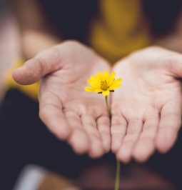 (KOMPETENCIJŲ TOBULINIMO DIRBTUVĖS). UŽIMTUMO PASLAUGŲ KOKYBĖS GERINIMAS: TARPINSTITUCINĖ BENDRYSTĖ IR GEROSIOS PATIRTIES SKLAIDA (6 akad. val.) (dr. Jolita Gečienė ir doc. dr. Jautrė Ramutė Šinkūnienė) 